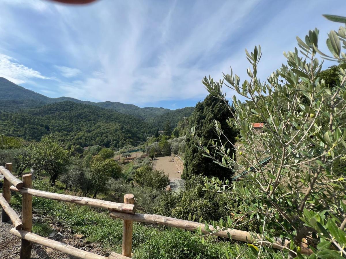 Agriturismo Torsivi Castiglione Chiavarese Экстерьер фото
